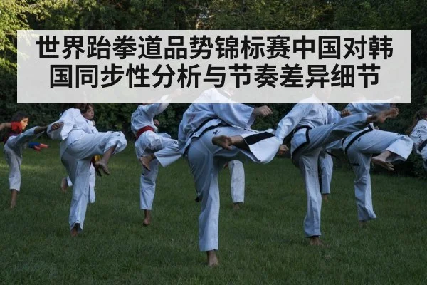 世界跆拳道品势锦标赛中国对韩国同步性分析与节奏差异细节